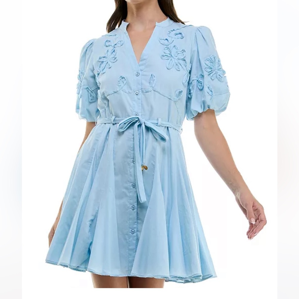 Blue Dress - Picture 3 of 5